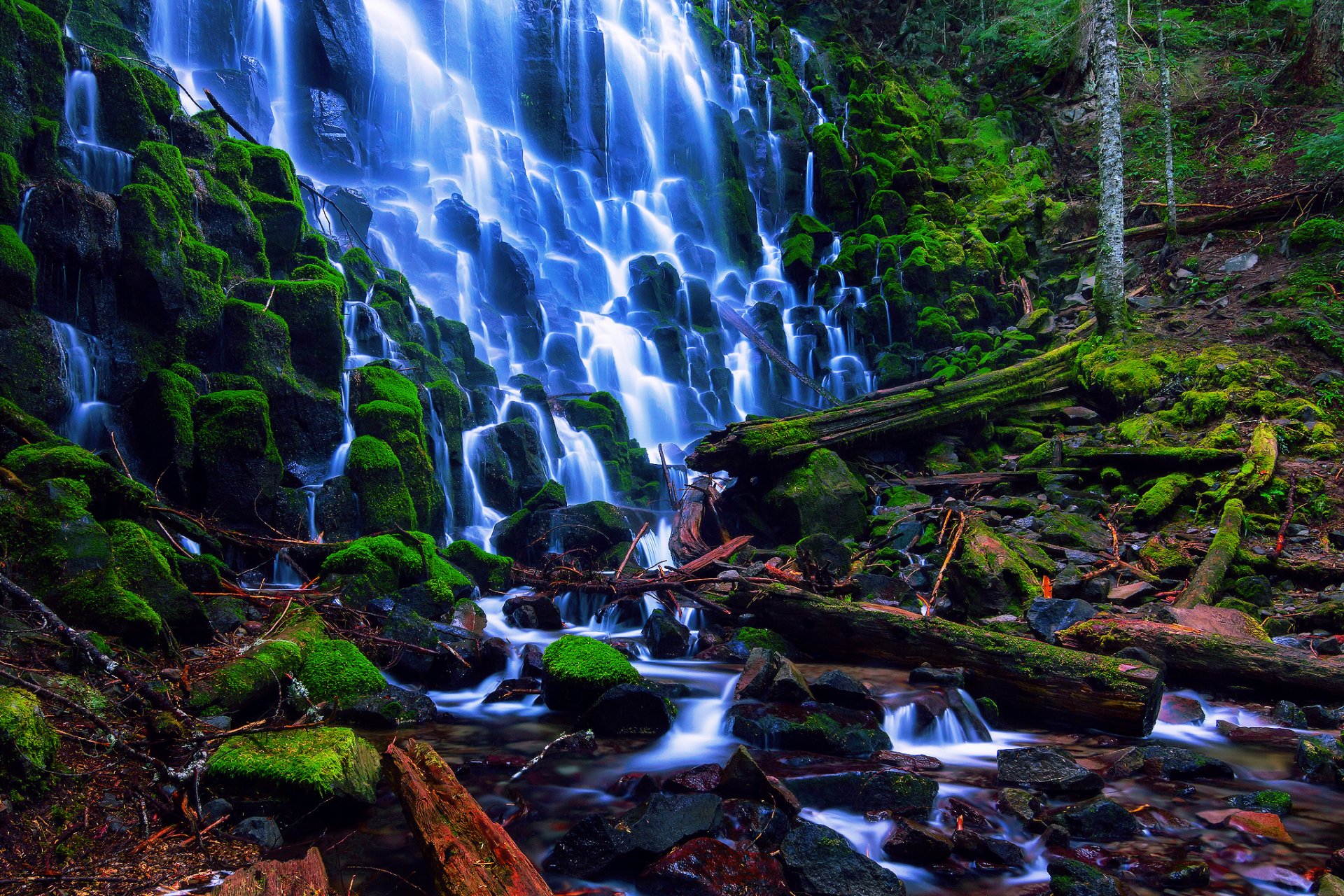 united states national forest mount hood oregon ramona falls waterfall stones moss branches forest flows summer august