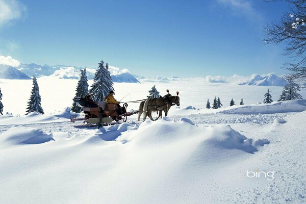 Dwa konie ciągną sanie po zaśnieżonej drodze