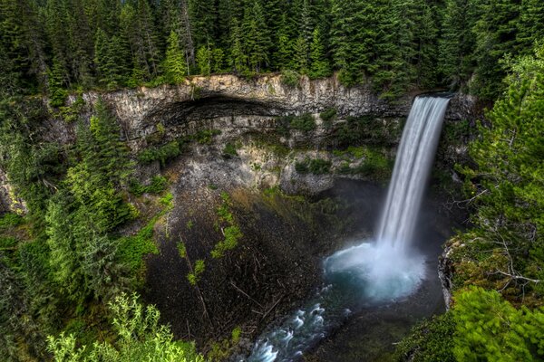 Waterfall and rocks in the middle of the forest