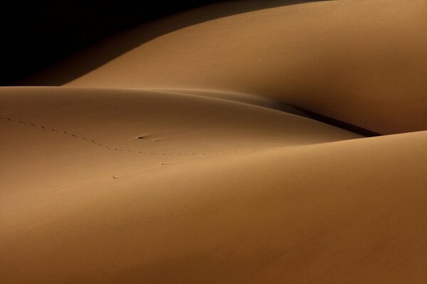 La sabbia nel deserto è come un corpo umano