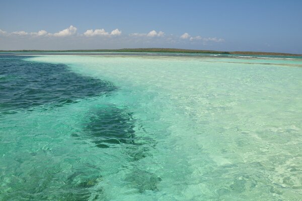 Azure seashore with clear water