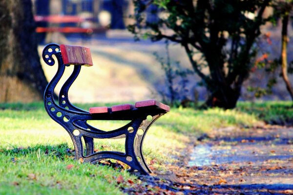 A small bench next to the path against the background of trees