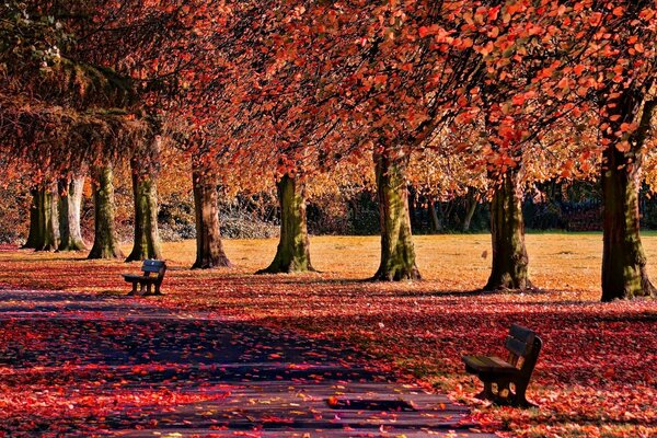 Aumenta el trabajo de los conserjes en otoño