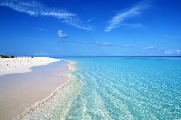 Paesaggio del mare blu e della spiaggia di sabbia bianca