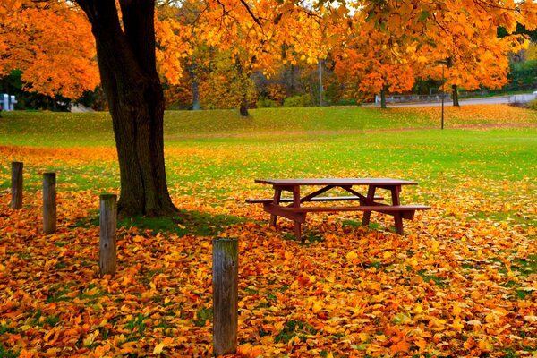 Eine gemütliche Ecke der Stille im Herbst