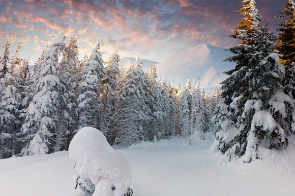 Winterschneewald in Schneewehen unter Wolken