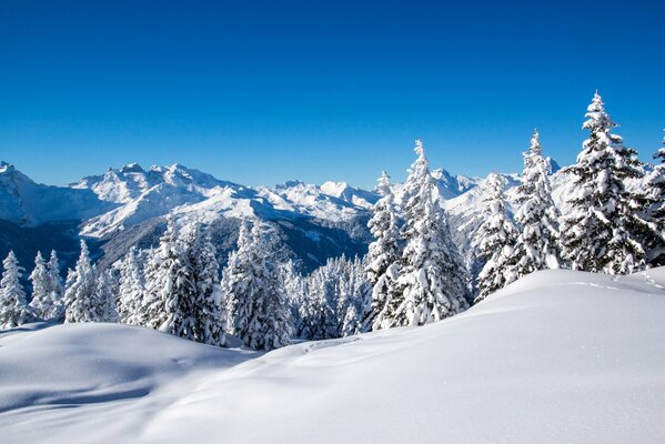 Paisaje de invierno y cielo azul