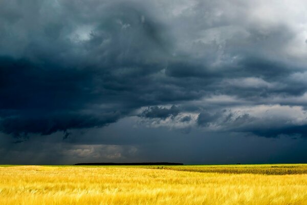 Nuages d orage dans le champ jaune