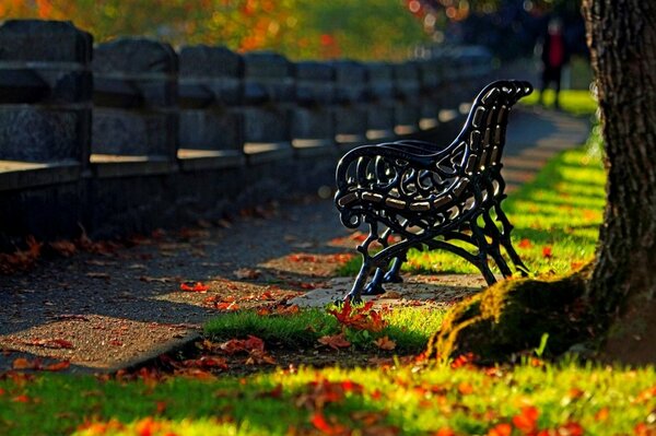 Foto Alley Park en la mañana de otoño