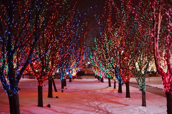 Luci della città di notte. Ghirlanda festiva sull albero