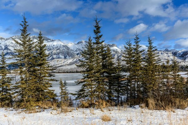 Canada National Park is a snow-covered lake between forests and mountains