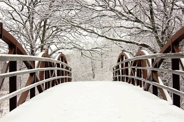 Landschaftsbrücke im Schnee Bäume