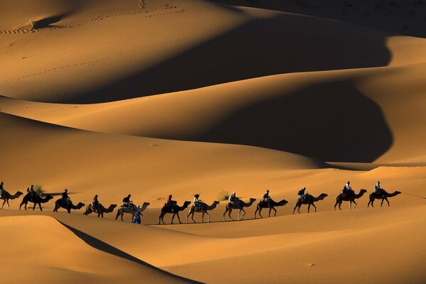 Sahara, Menschen auf Kamelen überfahren