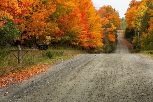 Paysage d automne avec une large route