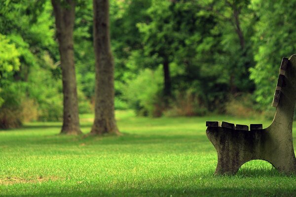 Bank unter grünen Bäumen im Park