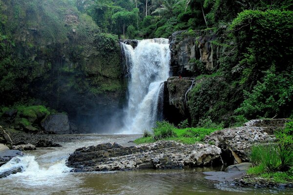 Hermosa vista de la cascada que cae de los acantilados en la selva verde