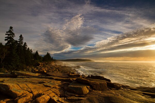 Costa de piedra del bosque con olas que invaden