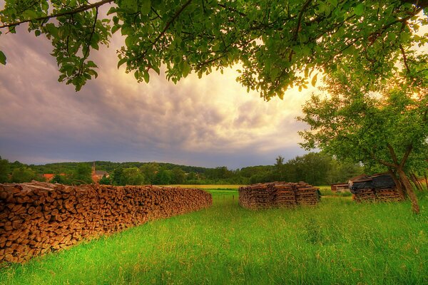 A woodpile on a green glade in summer