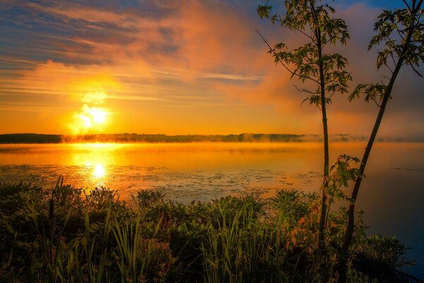 Morning fog over the surface of the lake