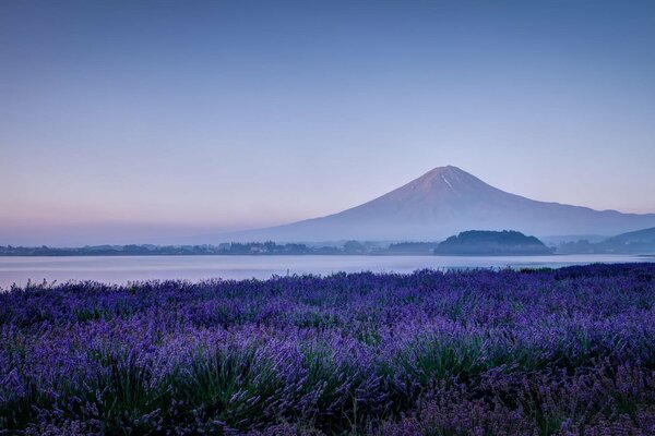 Un lago japonés con una montaña donde hay muchas flores hermosas