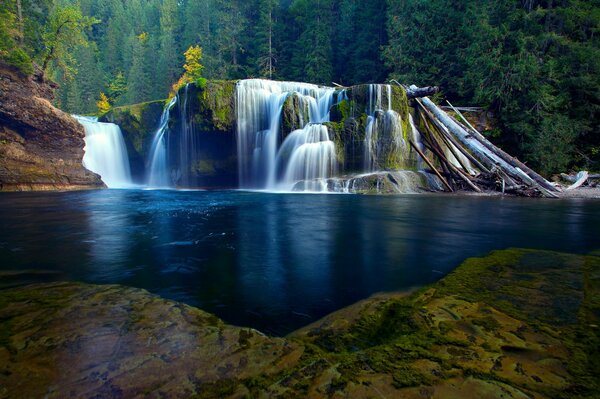 Ein schöner Wasserfall im Wald mündet in einen Fluss