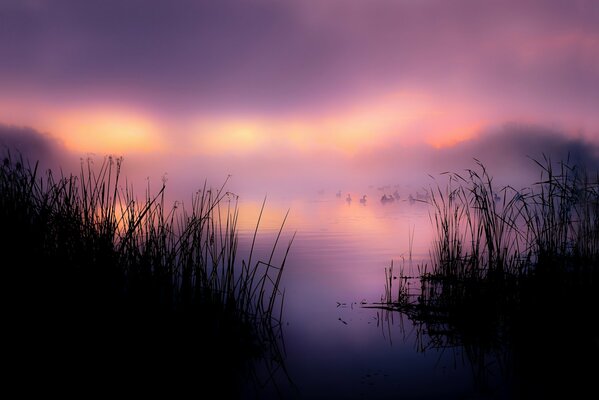 Früher nebliger Morgen am See