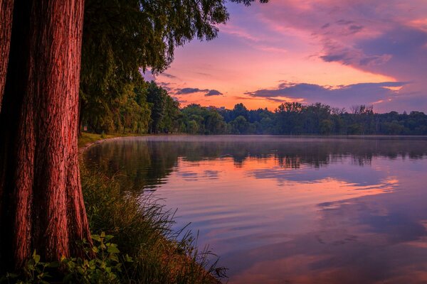 Paysage avec coucher de soleil sur le lac de la forêt