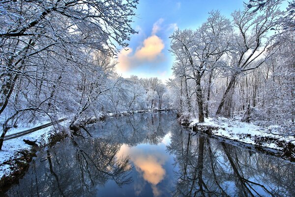 Зимняя река в снежном лесу