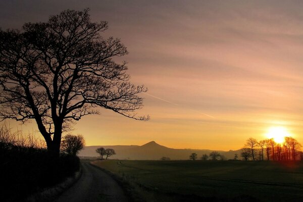 Paesaggio con albero e montagne al tramonto