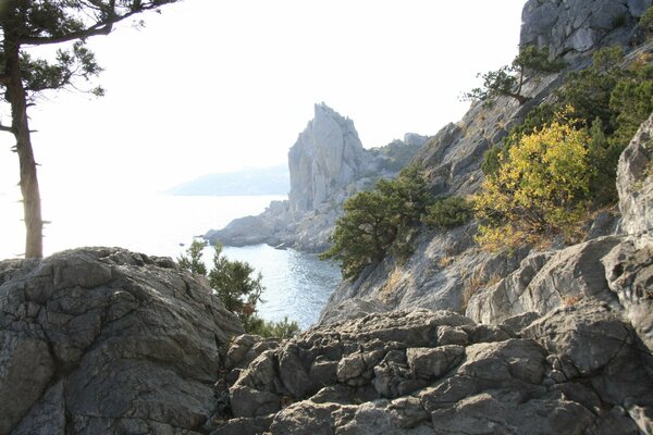 Montagne in Crimea in riva al mare