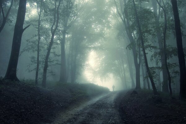Nebel im Wald und ein einsamer Mann, der den Weg entlang geht