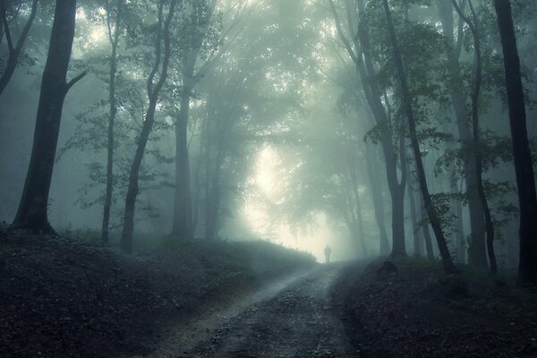 Niebla en el bosque y un hombre solitario caminando por el camino