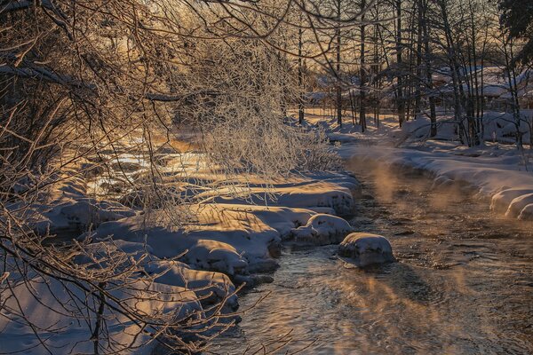 L hiver a couvert les arbres de givre sur la rivière