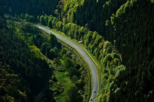 La route est au loin. Forêt verte