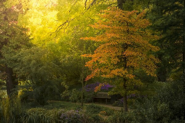 Bank im botanischen Garten