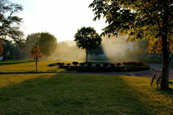 Brillando el sol en el parque