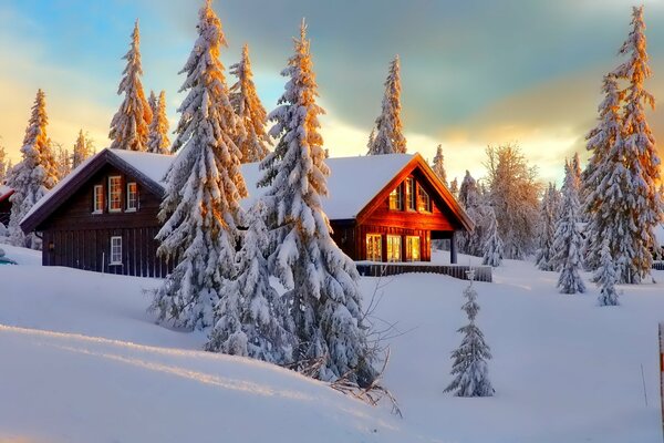 Haus im Winterwald. Schneebedeckte Bäume