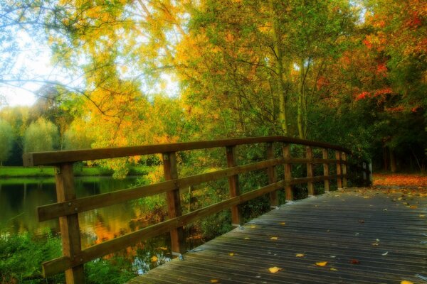 Старый мостик в осенних листьях