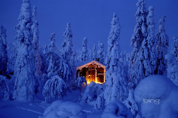 Casa entre árboles nevados