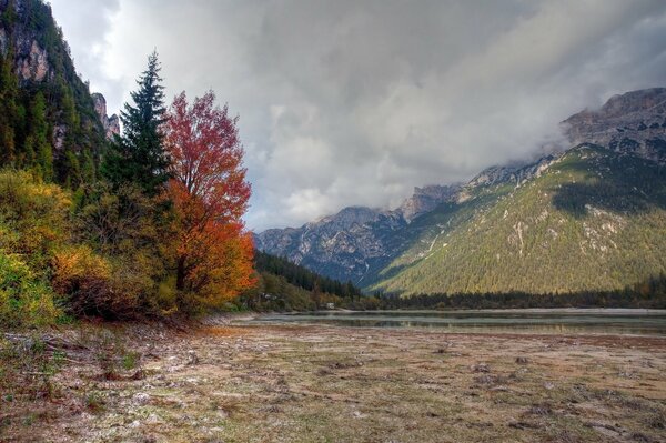 Mountains and forest in autumn. Gloomy sky