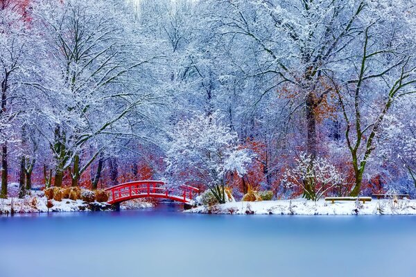 Winter nature landscape with trees