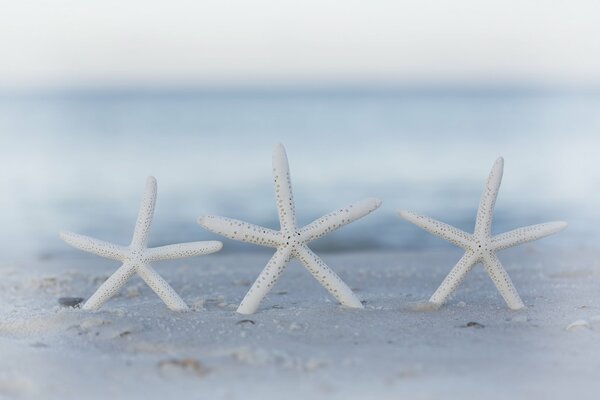 Bokeh am Strand im Sand