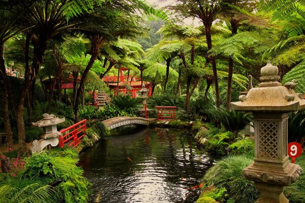 Classic Japanese garden with pond
