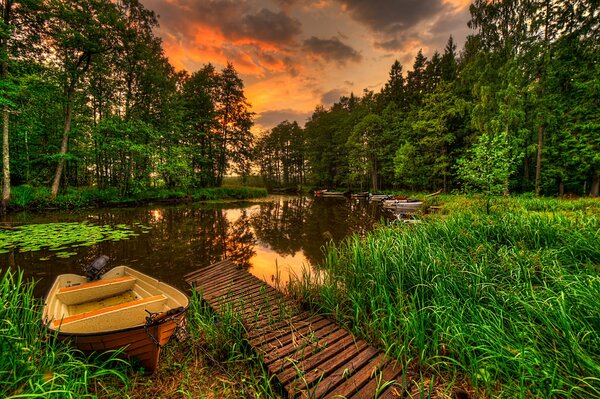 Boat at the green shore of the lake