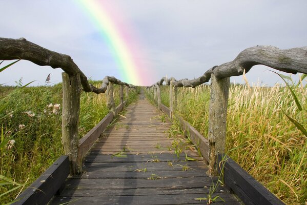 Un camino de madera conduce al arco iris
