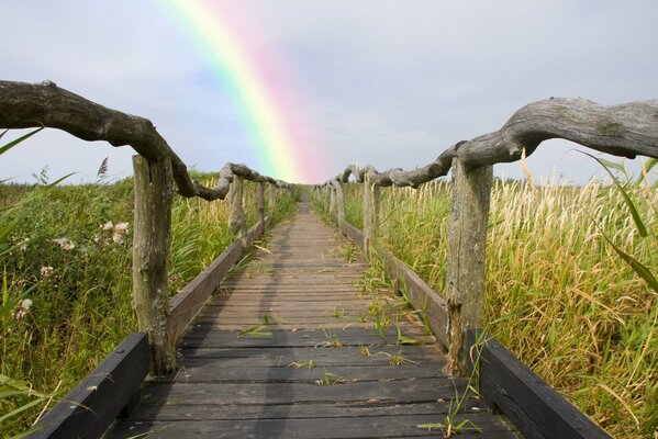 Une passerelle en bois mène à l arc-en-ciel