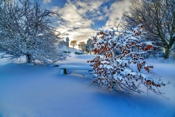 Paysage neige arbres coucher de soleil