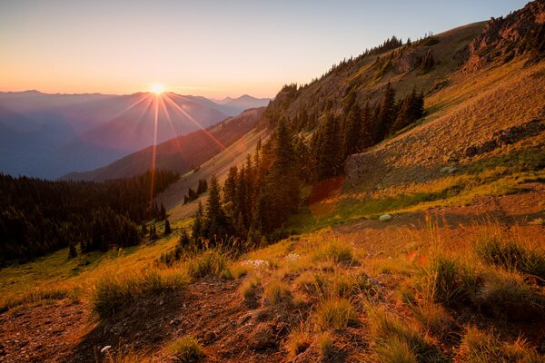 Mountain slope in the sunset rays