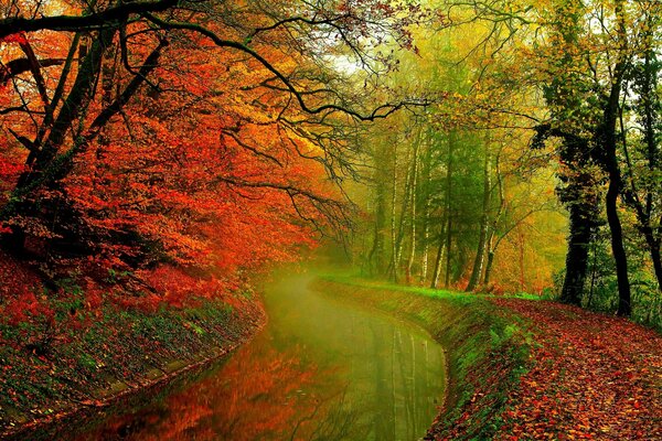 Wanderweg im Dol des Flusses des Herbstwaldes