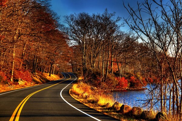 A passing road near the autumn forest